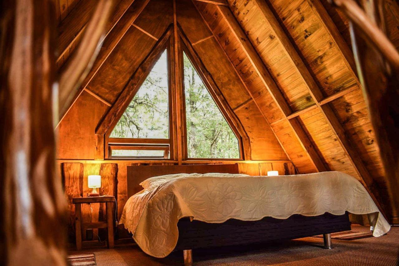 Cabanas Ecoturismo La Pancha Пуерто Айсен Екстериор снимка